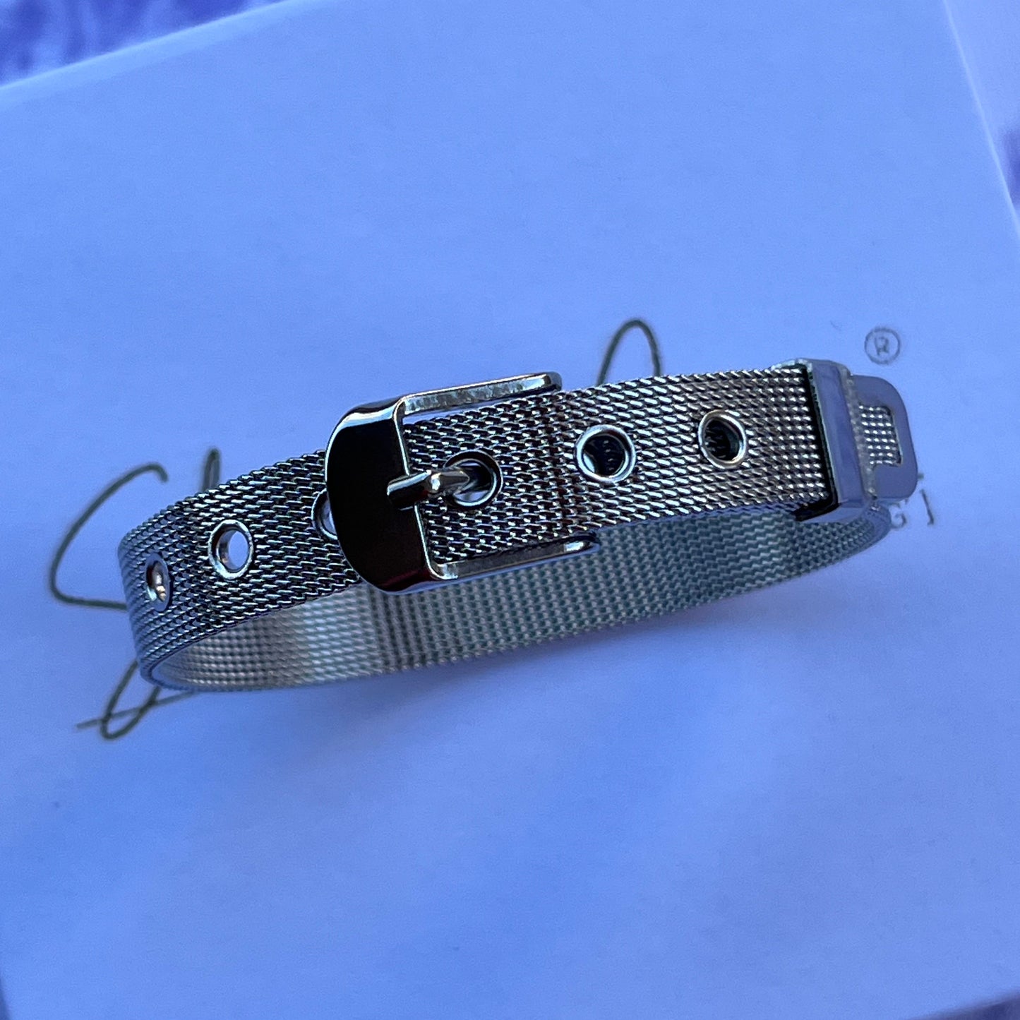 Silver Stainless Steel Mesh Buckle Bracelet